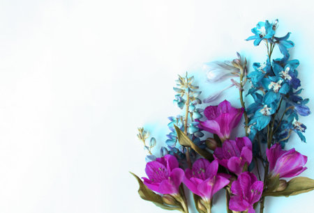 Bouquet of blue and purple flowers on a white background.の写真素材