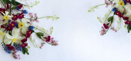 Spring flowers on white background. Flat lay, top view, copy spaceの写真素材