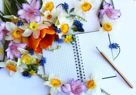 Spring flowers and notebook on white background, top view. Flat layの写真素材