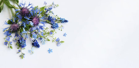 Bouquet of cornflowers and blue wildflowers on white backgroundの写真素材