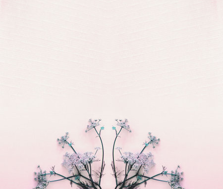 Flowers composition. Dried flowers on pastel pink background. Flat lay, top view, copy spaceの写真素材