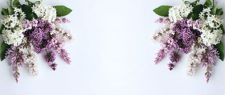 Lilac flowers on white background. Flat lay, top view.の写真素材