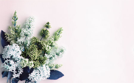 Bouquet of white lilac flowers on a pink background.