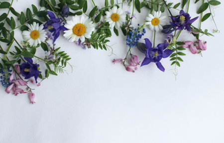 summer flowers on a white background, top view, copy spaceの写真素材