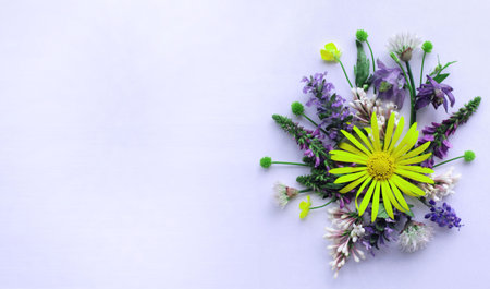 Bouquet of wildflowers on a white background, top viewの写真素材