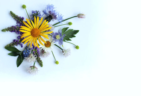 Bouquet of wildflowers on white background, top viewの写真素材