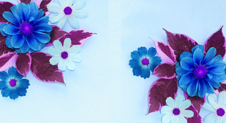 blue and white flowers on white paper background with copy space for textの写真素材