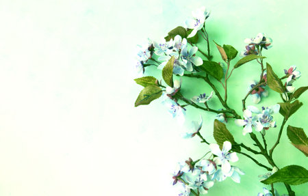 Beautiful spring flowers on green background with copy space. Flat lay.