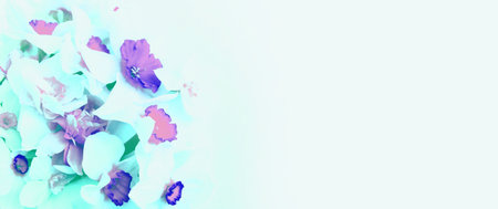 Floral background. Daffodils, narcissus and eucalyptus.の写真素材