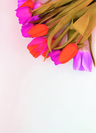 Abstract watercolor background. Hand-painted background. Texture paper.の写真素材