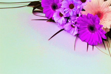 bouquet of pink and purple gerberas on white backgroundの写真素材