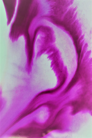 abstract background with pink and purple paint stains on a white backgroundの写真素材