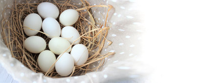 White easter eggs in a nest on a white wooden background.の写真素材