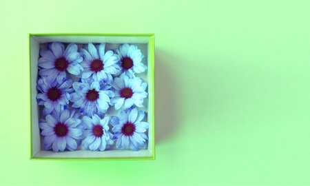 Flowers in a gift box on a green background, top view
