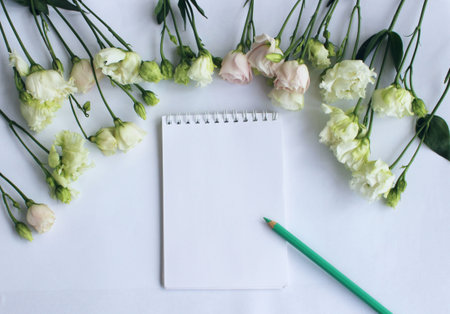 Flowers and notebook on white background. Flat lay, top view.の写真素材