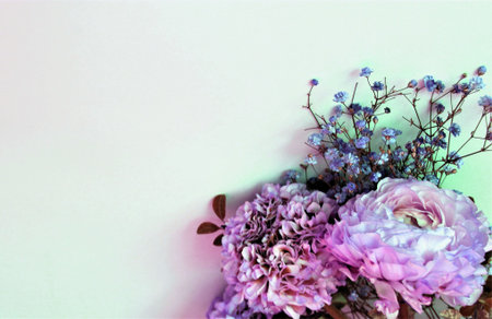 Pink and purple hydrangea flowers bouquet on pastel backgroundの写真素材