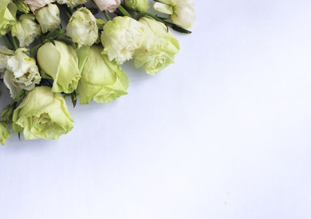 Abstract background of acrylic paint in pink and white tones. Fragment of artworkの写真素材