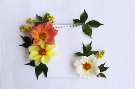 Notebook with flowers on white background. Flat lay, top view.