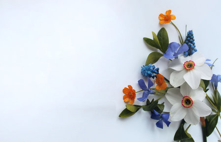 Daffodils and blue hyacinths on white backgroundの写真素材