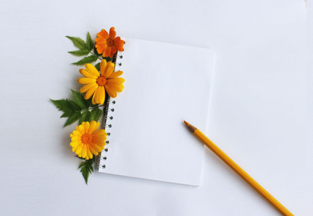 Blank notepad and pencil with calendula flowers on white backgroundの写真素材