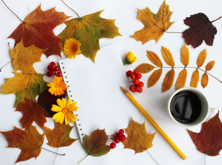 Autumn composition. Cup of coffee, notebook, autumn leaves, rowan on white background. Flat lay, top view, copy spaceの写真素材