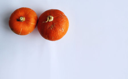 Two orange pumpkins on a white background. Space for text.の写真素材