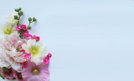 Pink and white flowers on a blue background. Place for text.