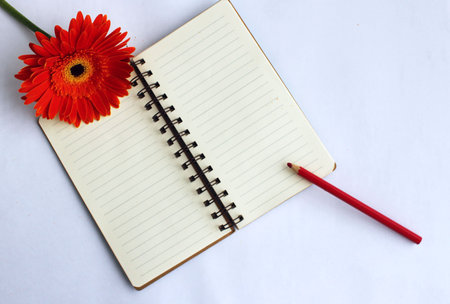Open notebook with red pencil and gerbera flower on white backgroundの写真素材