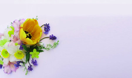 Spring flowers on a white background with space for text, top viewの写真素材