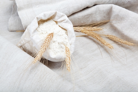Flour and wheat grain on sackclothの写真素材