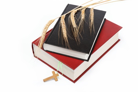 Two books / Holy Bible on white background.の写真素材