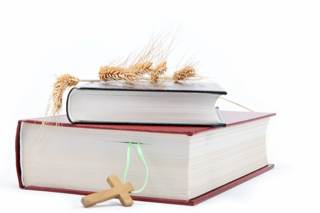 Two books / Holy Bible on white background.の写真素材