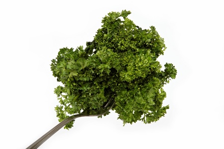 fresh bunch of parsley on the plug isolated on whiteの写真素材