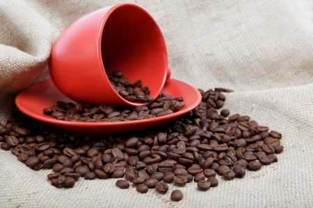 Coffee beans with a cup and saucer on sacking の写真素材