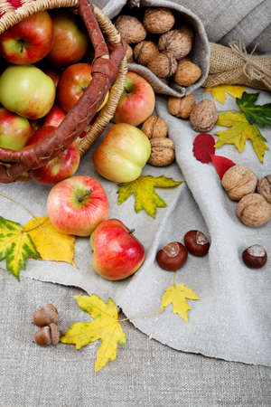 Autumn theme  Apples and walnuts on linen canvas 