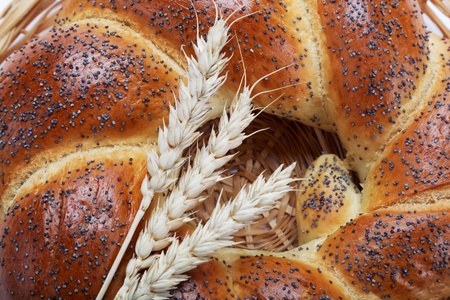 A fresh loaf of bread sprinkle with poppy seeds.