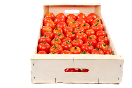 Fresh red tomato in the drops of water in a wooden box isolated on white background.の写真素材