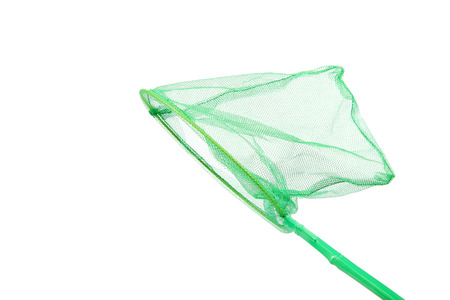Green insect net isolated on a white background.