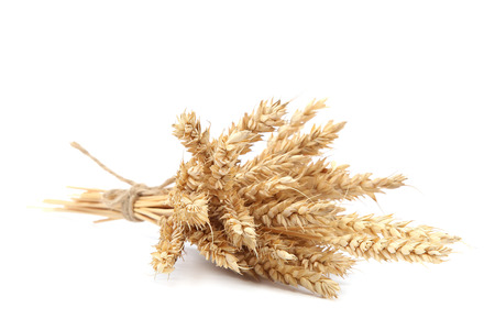Sheaf of wheat ears isolated on white background.の写真素材