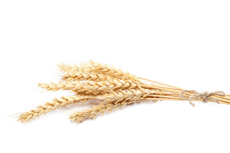 Sheaf of wheat ears isolated on white background.