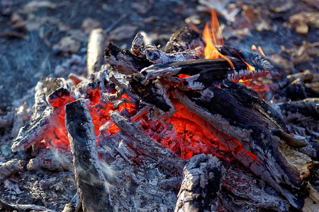 Bonfire in the autumn forest.の写真素材