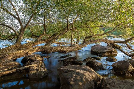 Stone rapids on the river in the rays of sunrise.