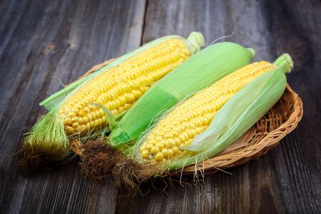 Corn on the background of the wooden planks.