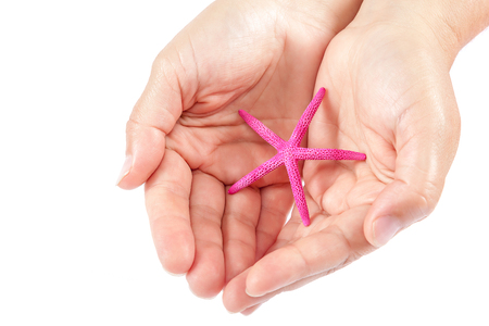 Sea shells in female hands isolated on white background.の写真素材