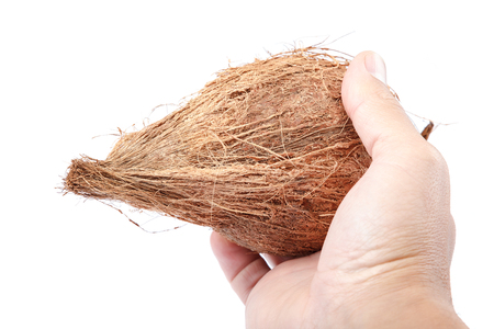 Coconut in hand isolated on white background.の写真素材