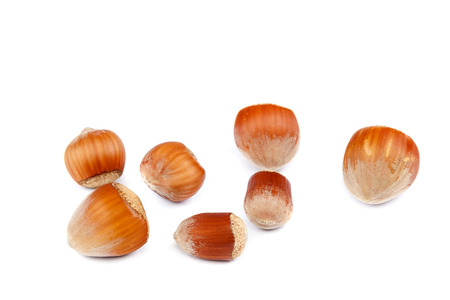 Fruits Hazelnuts isolated on white background.の写真素材