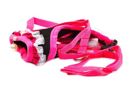 Pet accessories isolated on a white background.の写真素材