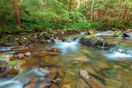 Mountain river creek among stones and trees.の写真素材