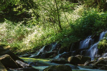 Mountain river creek among stones and trees.の写真素材