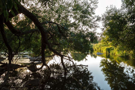 River rapids with stone and trees on the shore.